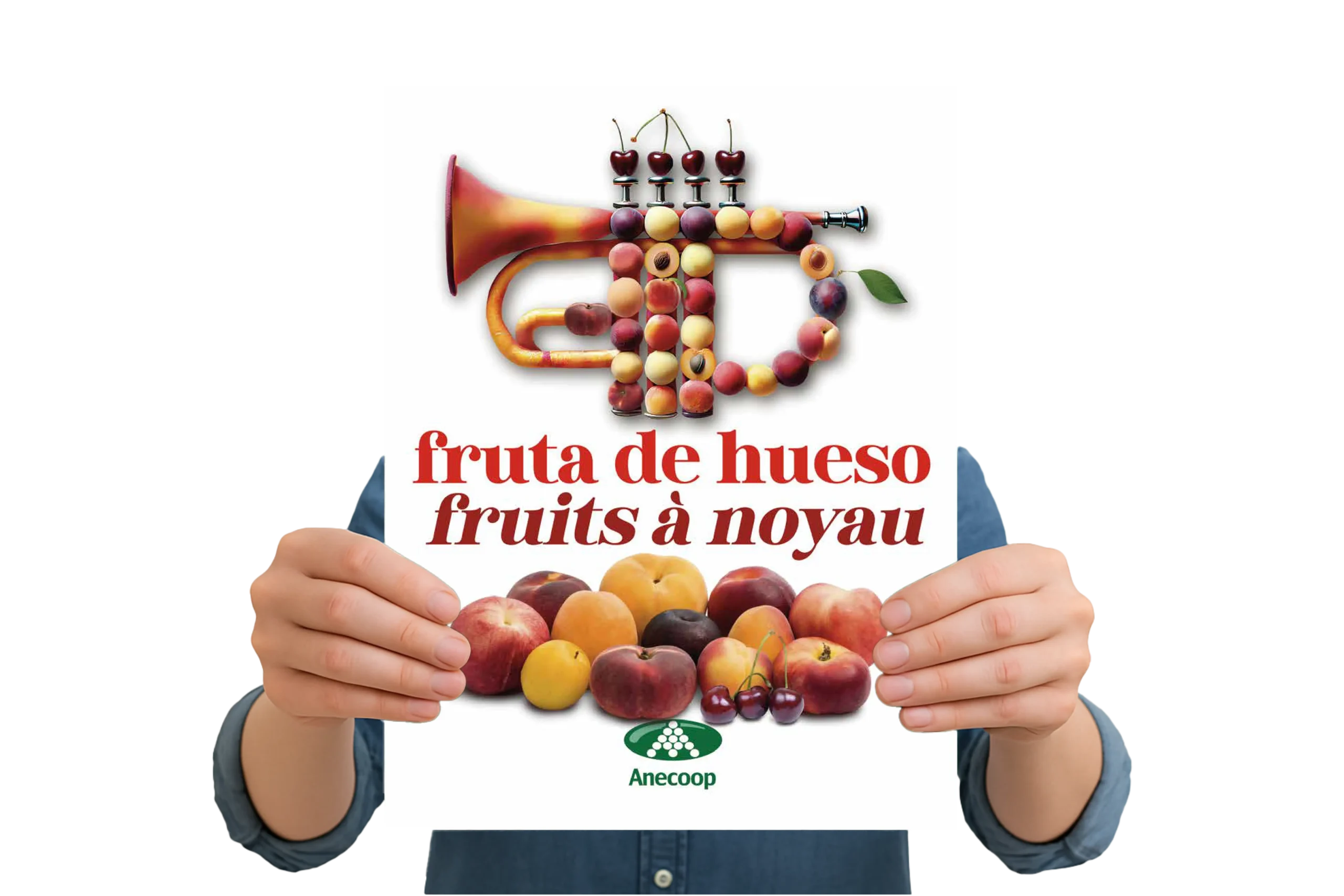Folleto-FRUTA-DE-HUESO-esp_fran-2025-WEB Folleto-FRUTA-DE-HUESO-esp_fran-2025-WEB