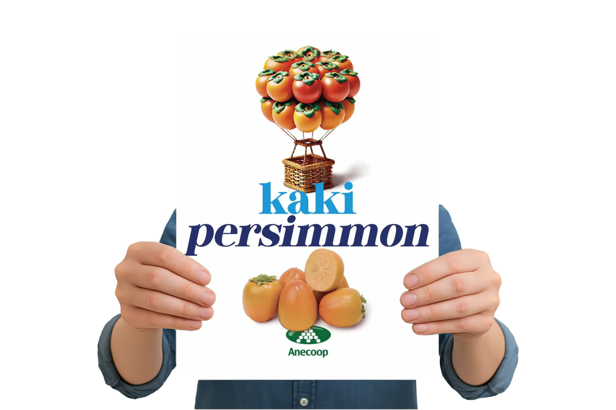 Folleto-PERSIMON-2025-WEB Folleto-PERSIMON-2025-WEB