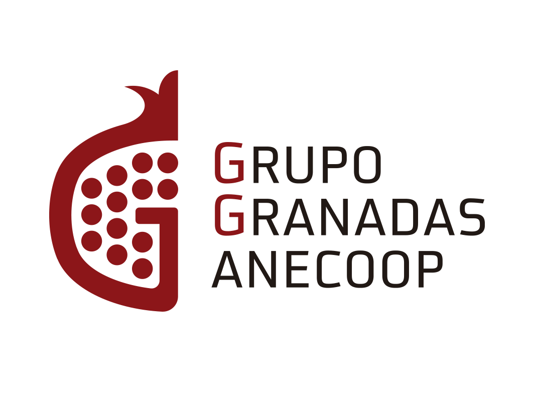 Grupo Granadas transparente Grupo Granadas transparente