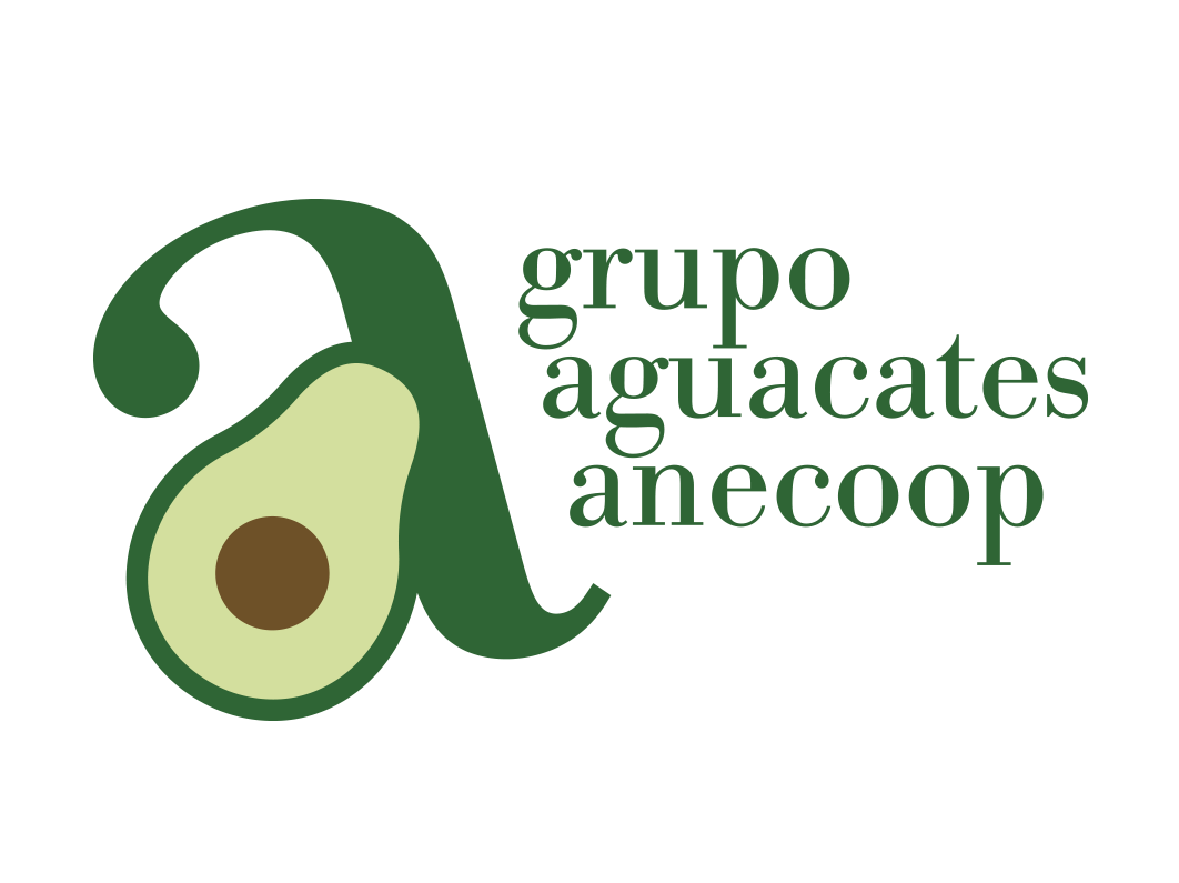 Grupo aguacates transparente Grupo aguacates transparente