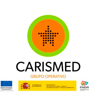 Logo-Carismed