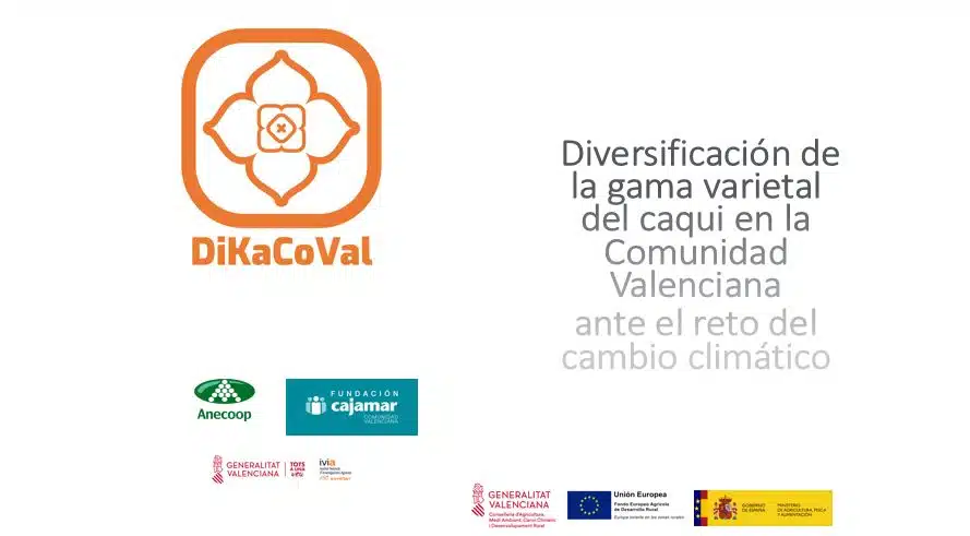 Logo-DikacoVal2 Logo-DikacoVal2