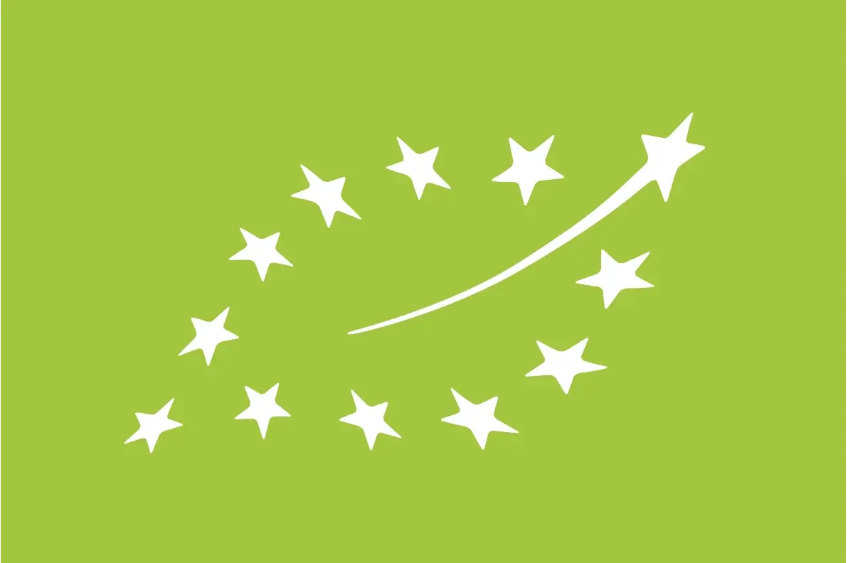 logo-HOJA logo-HOJA