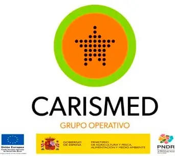 Logo-Carismed Logo-Carismed