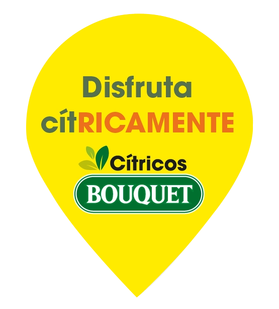 MARCADOR AMARILLO CITRICOSI